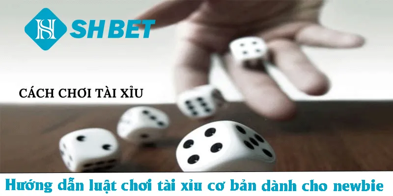 Hướng dẫn luật chơi tài xỉu cơ bản dành cho newbie